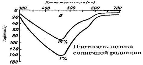 Реакция на световой режим