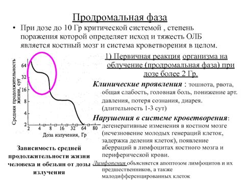 Реакция организма на изменения давления