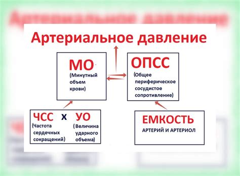 Регуляция артериального давления в организме