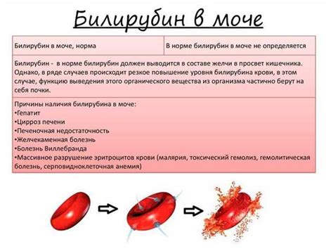 Рекомендации по лечению повышенного билирубина