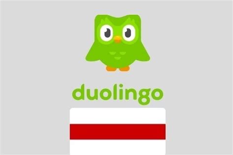 Решение: изучение английского на платформе Duolingo