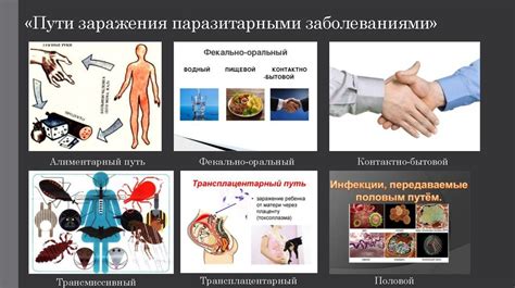 Риск заражения паразитарными инфекциями