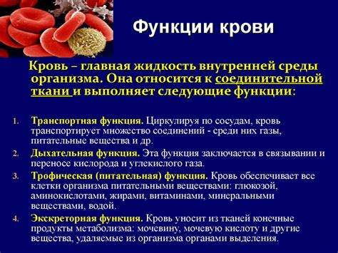 Ролевые функции крови в организме