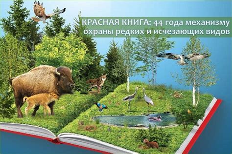 Роль внесения в красную книгу в сохранении биоразнообразия