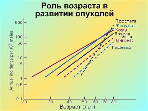 Роль возраста в возможности роста бакенбард