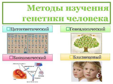 Роль генетики в росте волос