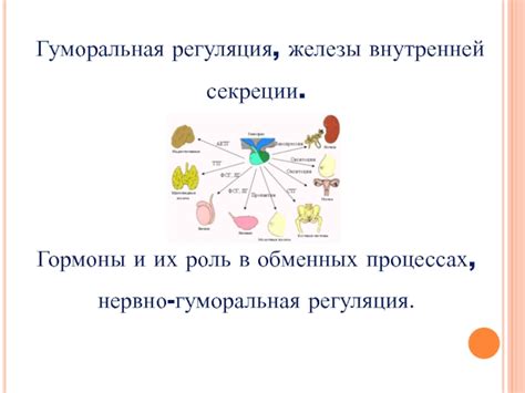 Роль глюкозы в обменных процессах