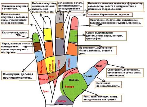 Роль и значение пальцев на руках и ногах в организме