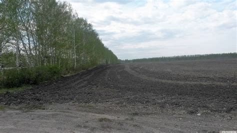 Роль листовых дисков в углеродном круговороте