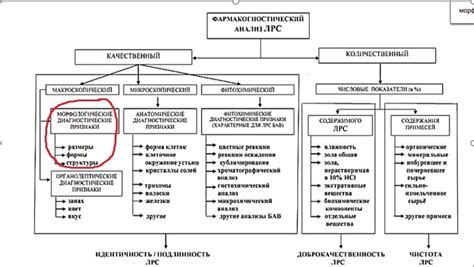 Роль морфологической группы