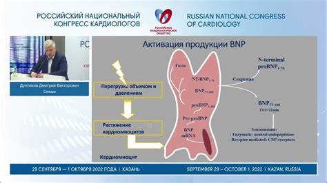 Роль натрийуретического пептида при сердечной недостаточности