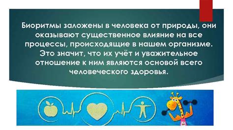 Роль обеда в повышении эффективности учебного процесса