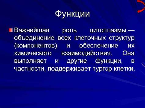 Роль окраски цитоплазмы в идентификации клеточных структур