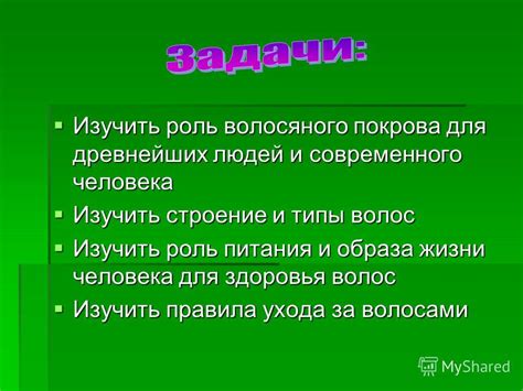 Роль питания в формировании волосяного покрова на спине