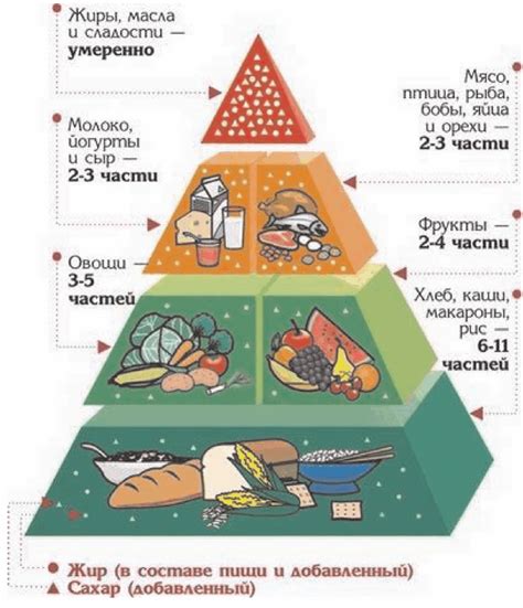 Роль питания в формировании яйца