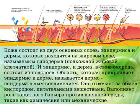 Роль подконтактных слоев