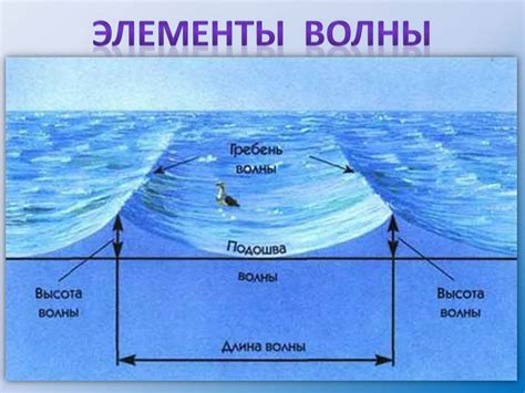 Роль приливов и отливов в регуляции температуры воды