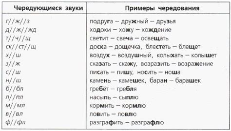 Роль рода при образовании слов