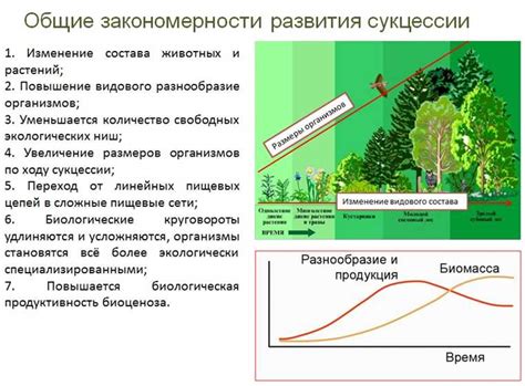 Роль стрижей в экосистеме: почему их миграция важна для планеты