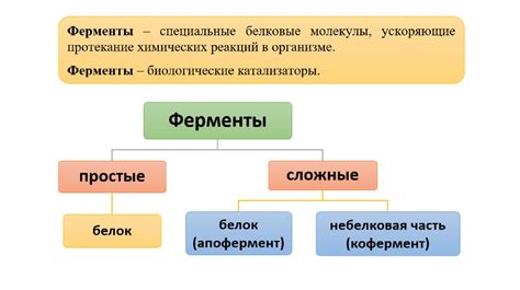 Роль ферментов при мариновании чеснока