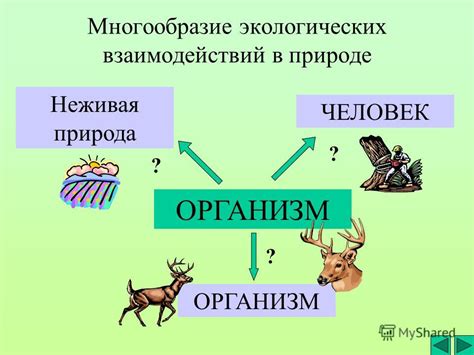 Роль экологических взаимодействий в классификации