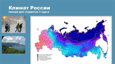 Российский климат и бороды