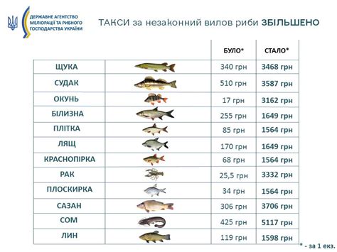 Рыба в посте: разрешена или нет?