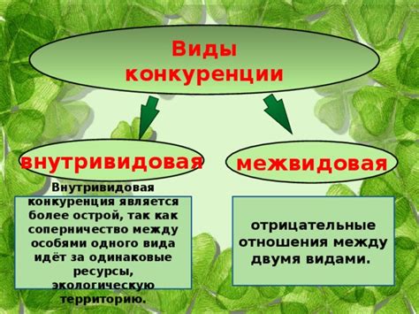 Рыба и конкуренция за территорию