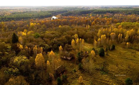 Рыжий лес в Чернобыле