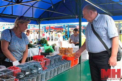 Рыжики на рынке в Перми: актуальные цены и спрос