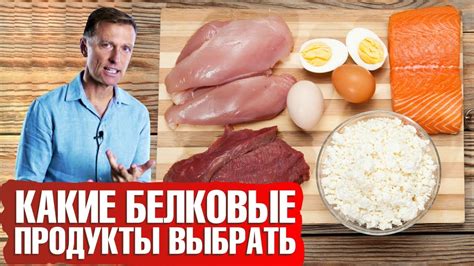 Самые белковые продукты и их содержание