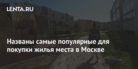 Самые популярные площадки для покупки сосен в Москве