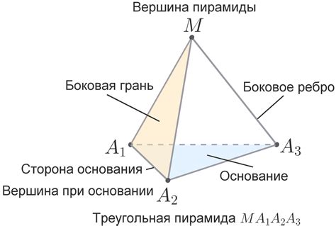 Связь граней пирамиды с формой основания