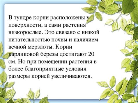 Связь размера пучков с питательностью почвы