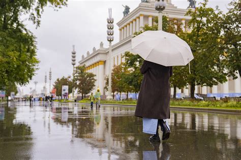 Связь с погодными условиями: