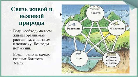 Связь с природой и мировоззрение Пришвина