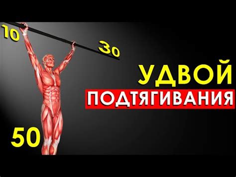 Секретные способы увеличить количество конгушек