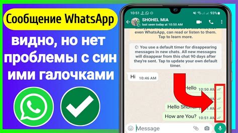 Секреты синих галочек в WhatsApp