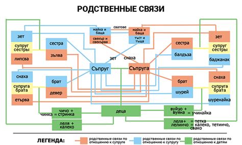 Семейные связи арбуза