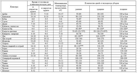 Семена - отчет о количестве