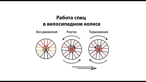 Сжимающая сила и слабости велосипедных спиц