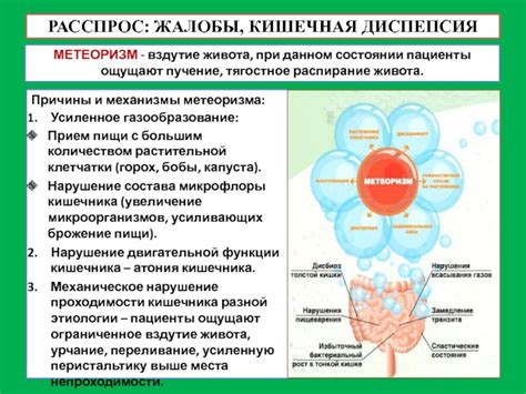 Симптомы и длительность газообразования