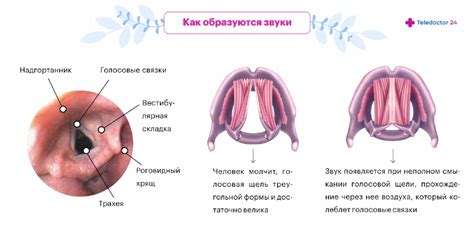 Симптомы и причины садни голоса