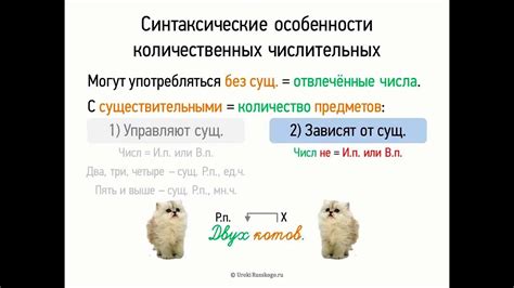 Синтаксические особенности