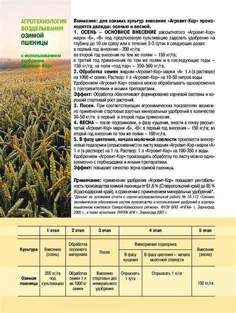 Система обработки почвы и ее влияние на урожайность