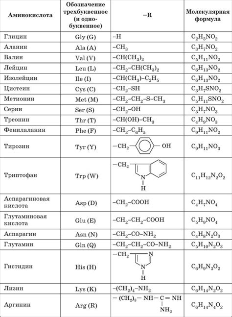 Сколько аминокислот в белках