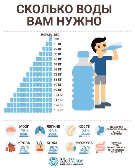 Сколько воды нужно поливать березу в день?