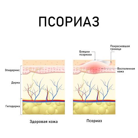 Сколько клеток в квадратном сантиметре кожи