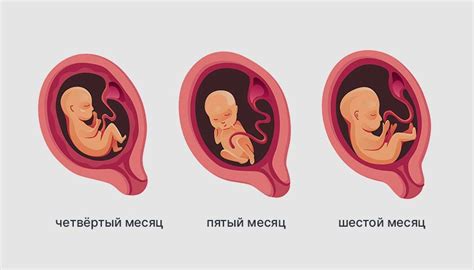 Сколько лет практики было у татуажиста в самом начале работы?