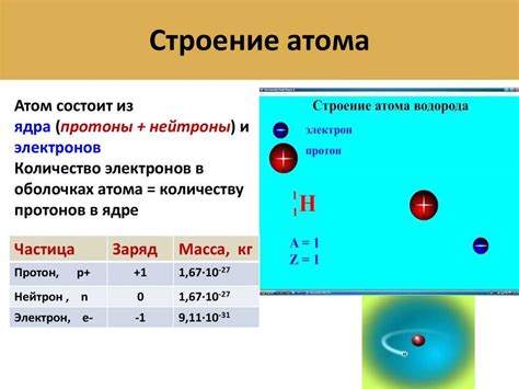 Сколько протонов в мг?